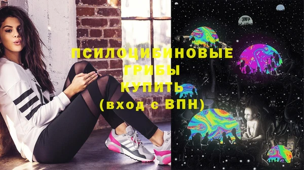 шишки Алзамай