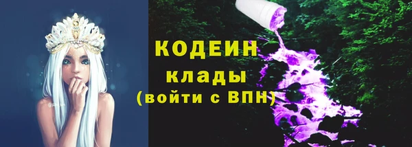 амф Арсеньев