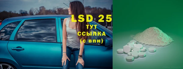 шишки Алзамай