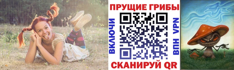 где купить наркотик  Воткинск  Галлюциногенные грибы Magic Shrooms 